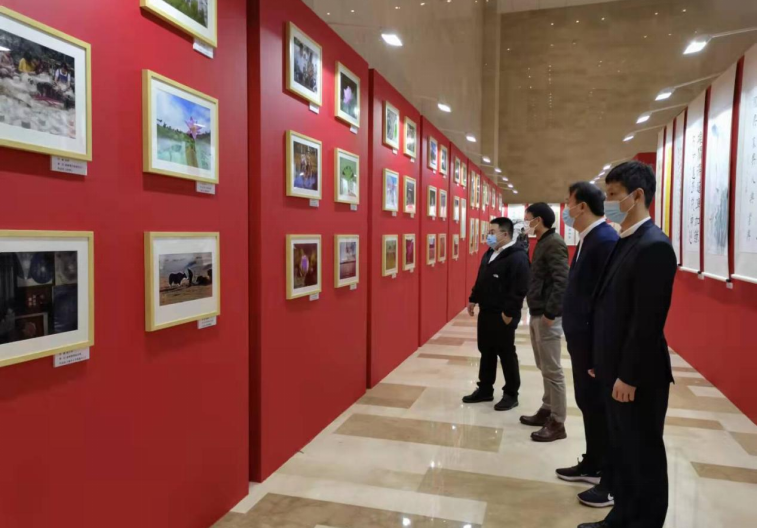川發資管組織參觀“說廉、倡廉、行廉” 文化作品展覽